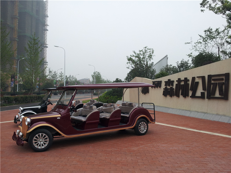 景区观光车,电动改装车,电动火车,电动特种车,电动消防车,电动车老爷车，电动巡逻车,电动观光车,电动小火车,电动老爷车